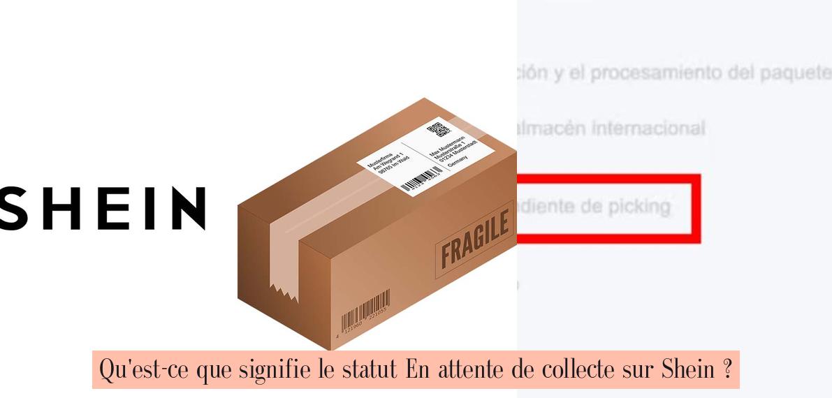 Cdg Dédouané Shein Ca Veut Dire Quoi Qu'est-ce que signifie le statut En attente de collecte sur Shein