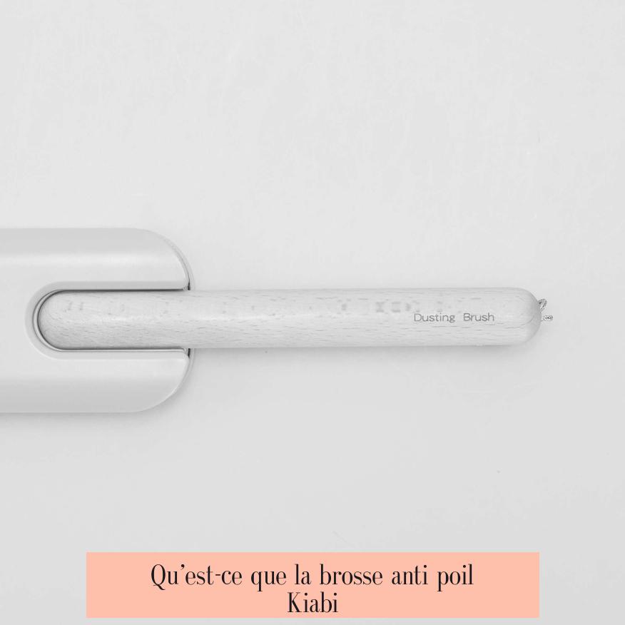 Qu’est-ce que la brosse anti poil Kiabi ?
