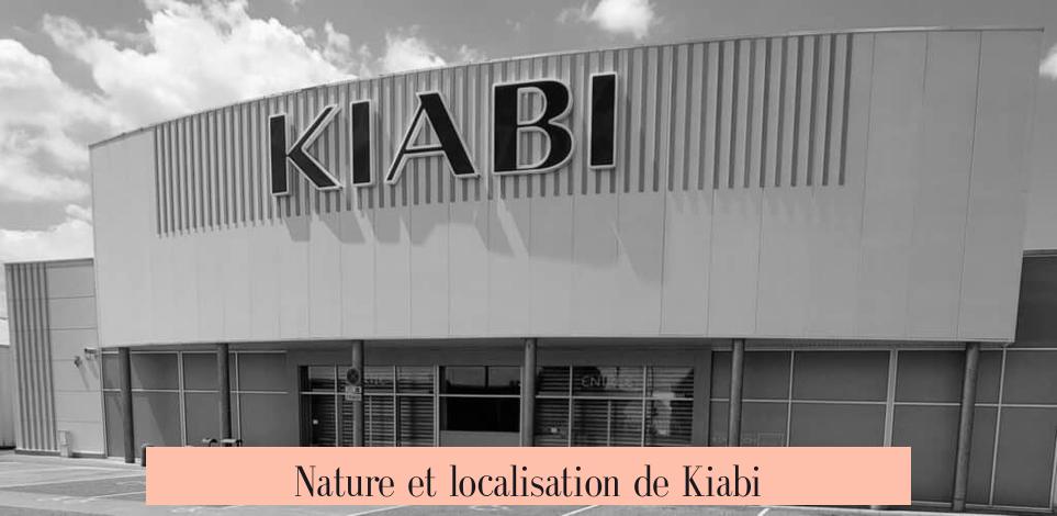Nature et localisation de Kiabi