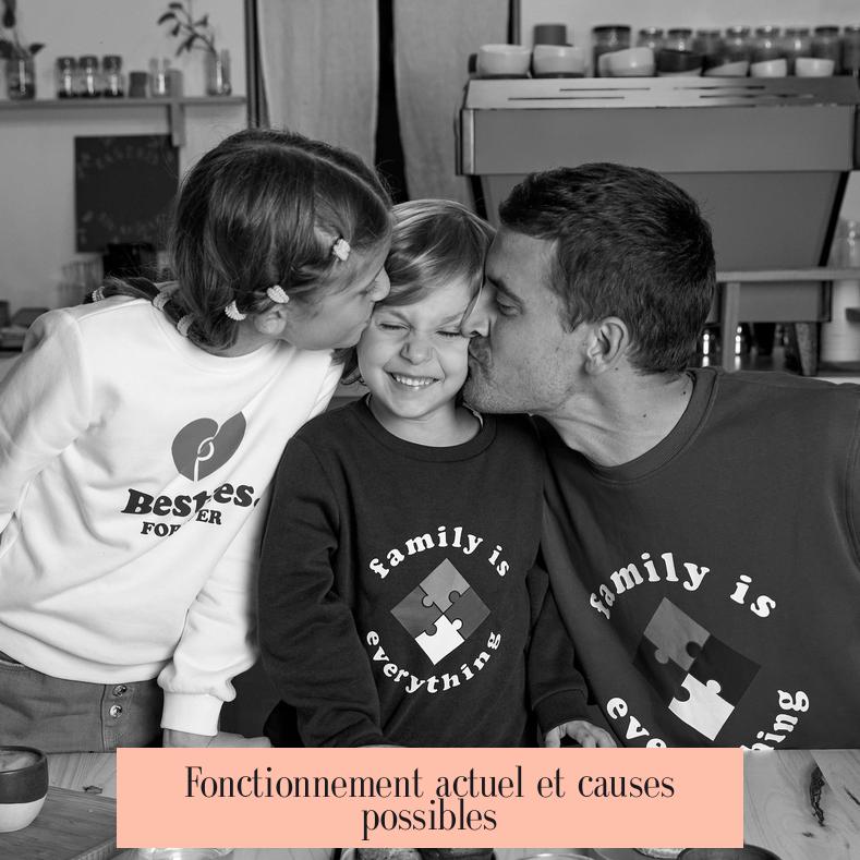 Fonctionnement actuel et causes possibles