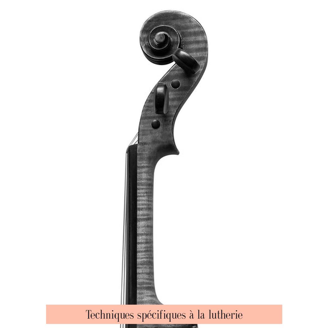 Techniques spécifiques à la lutherie