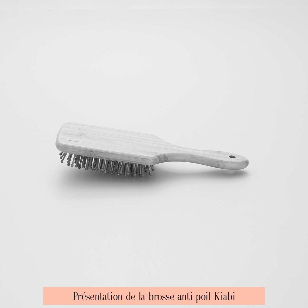 Présentation de la brosse anti poil Kiabi