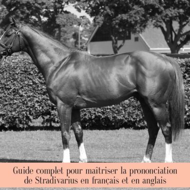 Guide complet pour maîtriser la prononciation de Stradivarius en français et en anglais