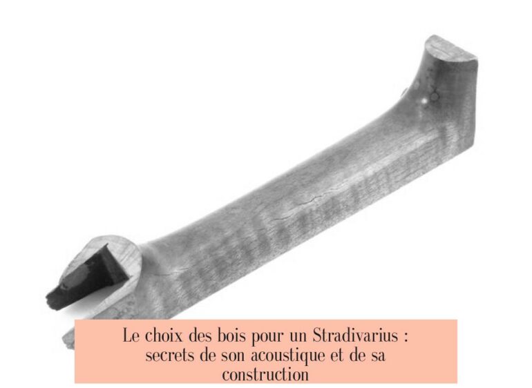 Le choix des bois pour un Stradivarius : secrets de son acoustique et de sa construction