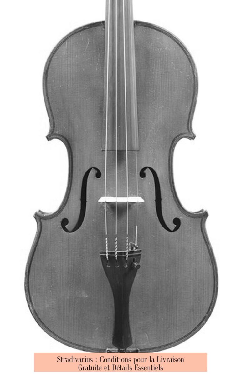 Stradivarius : Conditions pour la Livraison Gratuite et Détails Essentiels