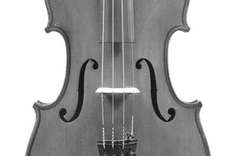 Stradivarius : Conditions pour la Livraison Gratuite et Détails Essentiels
